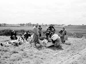 Беженцы в районе Пскова. Июль 1941 г
