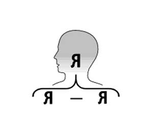 История создания и осознания истории