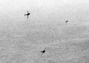 Истребители МиГ-15 атакуют бомбардировщик B-29, 1951 год