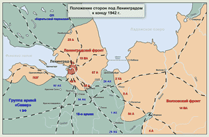 Положение под Ленинградом к концу 1942 г.