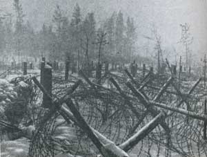 Немецкие укрепления под Ленинградом, январь 1943 г.