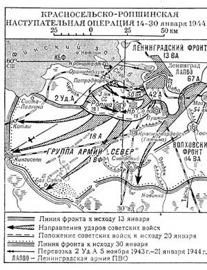 Боевые действия Ленинградского фронта, январь 1944 г. (Красносельско-Ропшинская операция).