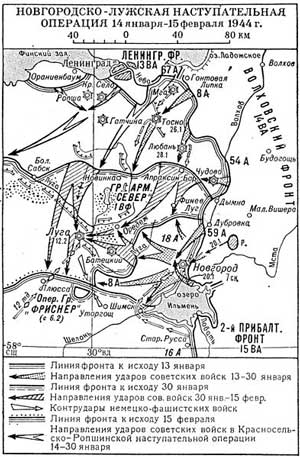 Боевые действия Волховского фронта, 14 январь −15 февраля 1944 г. (Новгородско-Лужская операция).