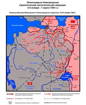 Боевые действия Ленинградского и Волховского фронтов, 14 — 31 января 1944 года