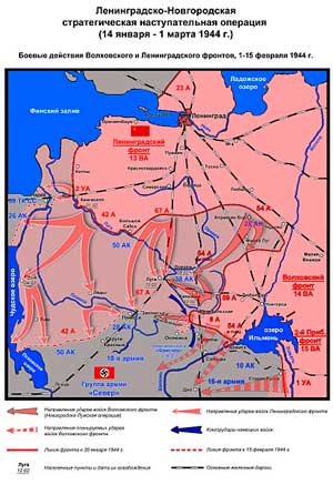 Наступление Волховского и Ленинградского фронтов, 1-15 февраля 1944 г.