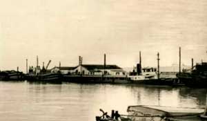 Таганрогский десант 1943 Таганрогский десант 1943